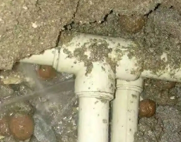 慈溪测漏水多少钱