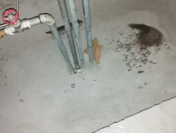 慈溪卫生间测漏水价格明细