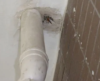 慈溪漏水检测哪家好